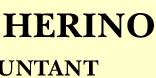 business, personal, tax, federal income tax